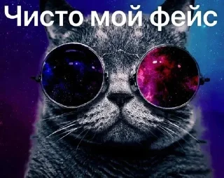 Telegram sticker 🌟 @xddsex