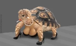 Video sticker ⚠️ @I666lI