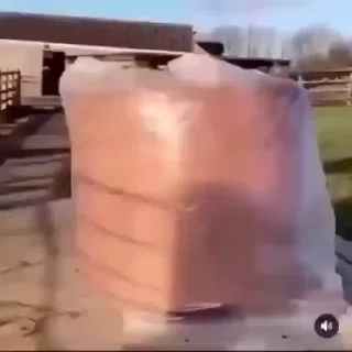 Video sticker 💥 Luxa's videos