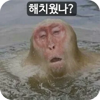 Telegram stiker 🤲 명짤저장고