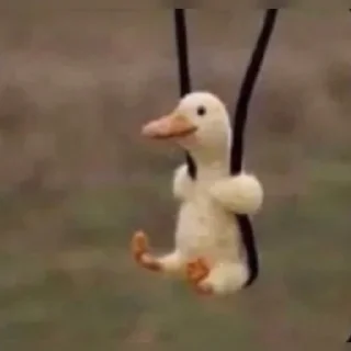 Телеграм стикер 💕 🌝