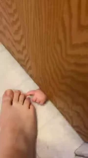 Video sticker 😝 @AniPackBot استیکرساز😍