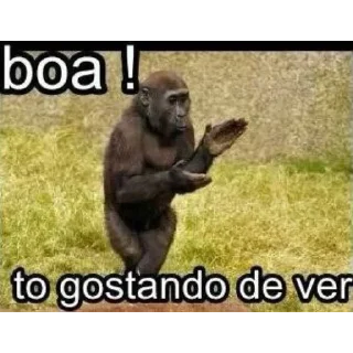 Telegram sticker 🐒 Chino the Badger