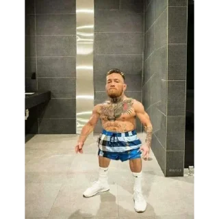 Telegram sticker 💔 Chino the Badger