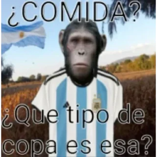 Video sticker 🇦🇷 Chino the Badger