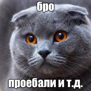Sticker ☠️ Бро и т.д.