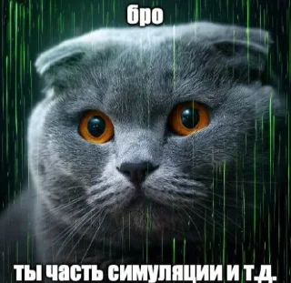 Telegram sticker ☠️ Бро и т.д.