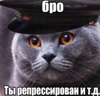 Telegram sticker ☠️ Бро и т.д.