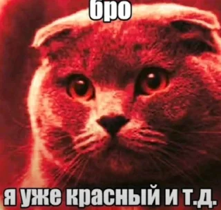 Telegram sticker ☠️ Бро и т.д.