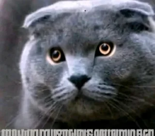 Telegram sticker ☠️ Бро и т.д.