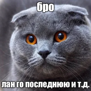 Video sticker ☠️ Бро и т.д.