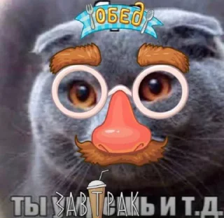 Video sticker ☠️ Бро и т.д.