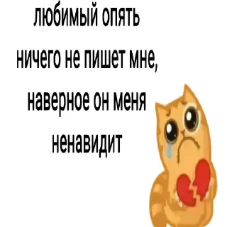 Telegram sticker 🧸 wbm.