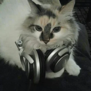 Telegram sticker 🕳 tired vamp emo @claithings