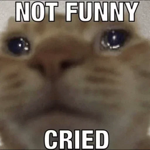 Telegram stiker 😔 No maa chudaayi please