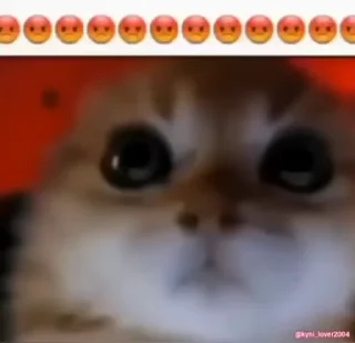 Video sticker 😡 No maa chudaayi please