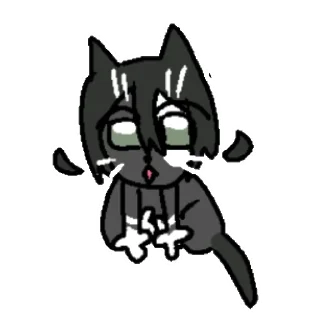 Video sticker 🦉 Смешные коты и не только