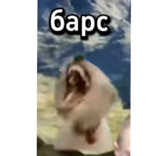 Video sticker 🤲 друн