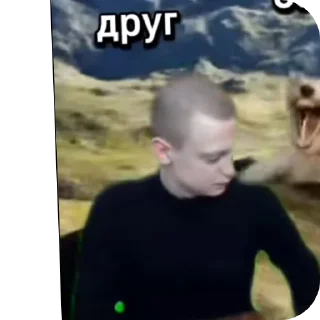 Telegram sticker 🖼 друн