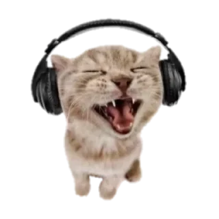 Телеграм стикер 🐱 Снежана кекс