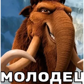Video sticker 🥶 Злые птички и неаккуратные акулы