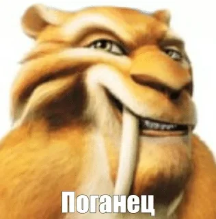 Sticker 🥶 Злые птички и неаккуратные акулы