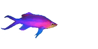 Video sticker ▫️ ﹙…﹚     ‌𝖦𝖱𝖠𝖭𝖦𝖤       ♔        @di7rse