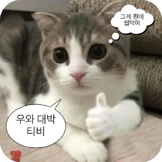 Telegram sticker 🐱 KRSH