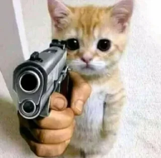 Video sticker 🔫 Complicado isso ae :: @fStikBot