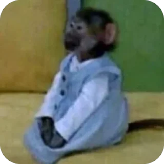 Telegram sticker 🫥 mama co @keeeeeeeelly