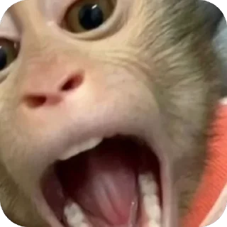 Telegram sticker 🫥 mama co @keeeeeeeelly