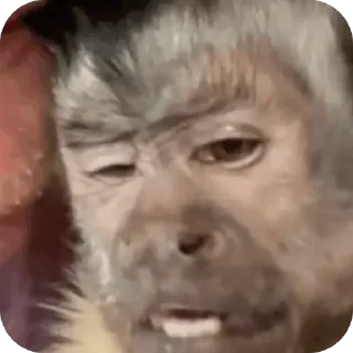 Telegram sticker 🫥 mama co @keeeeeeeelly