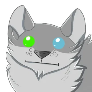 Video sticker 😐 CHC_Stickers