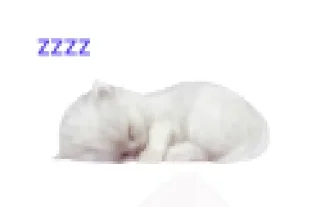 Video sticker 💤 Муся это ты? :: @fStikBot