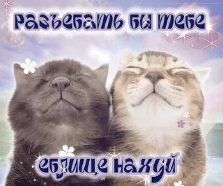 Telegram sticker ☺️ Муся это ты? :: @fStikBot