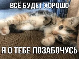 Telegram sticker ❤️ Муся это ты? :: @fStikBot