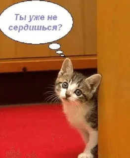 Telegram sticker 🙁 Муся это ты? :: @fStikBot