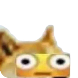 Video sticker 👍 Dustw0rn.core