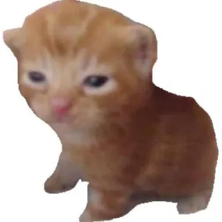 Telegram sticker 😑 zara’s :: @fStikBot
