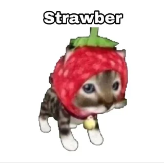 Telegram sticker 🍓 zara’s :: @fStikBot