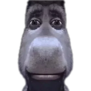 Telegram sticker 🐦 Tik tok Comment by 217