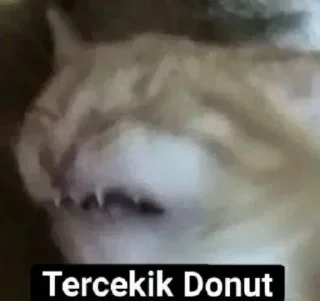 Telegram sticker 🌟 Stiker aku