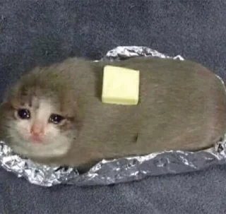 Telegram sticker 🌟 Stiker aku