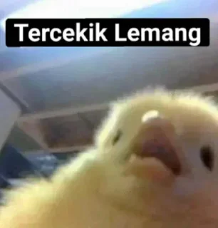 Telegram sticker 🌟 Stiker aku