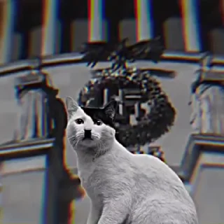 Video sticker 🌟 lostiee🪐🤍~ @findinggmyself
