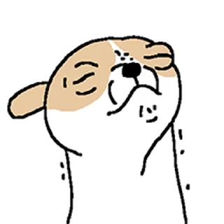 Video sticker ⭐ 치왈왈 @moe_sticker_bot