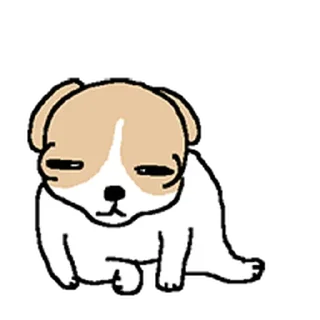 Telegram stiker ⭐ 치왈왈 @moe_sticker_bot